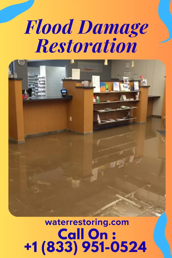 Flood Damage Restoration in Clint, TX
